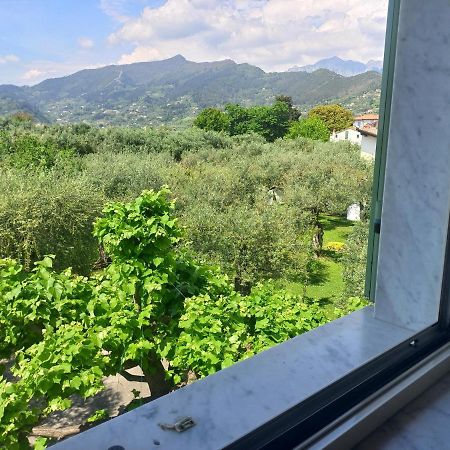 La Madonnina Bed and Breakfast Querceta Εξωτερικό φωτογραφία