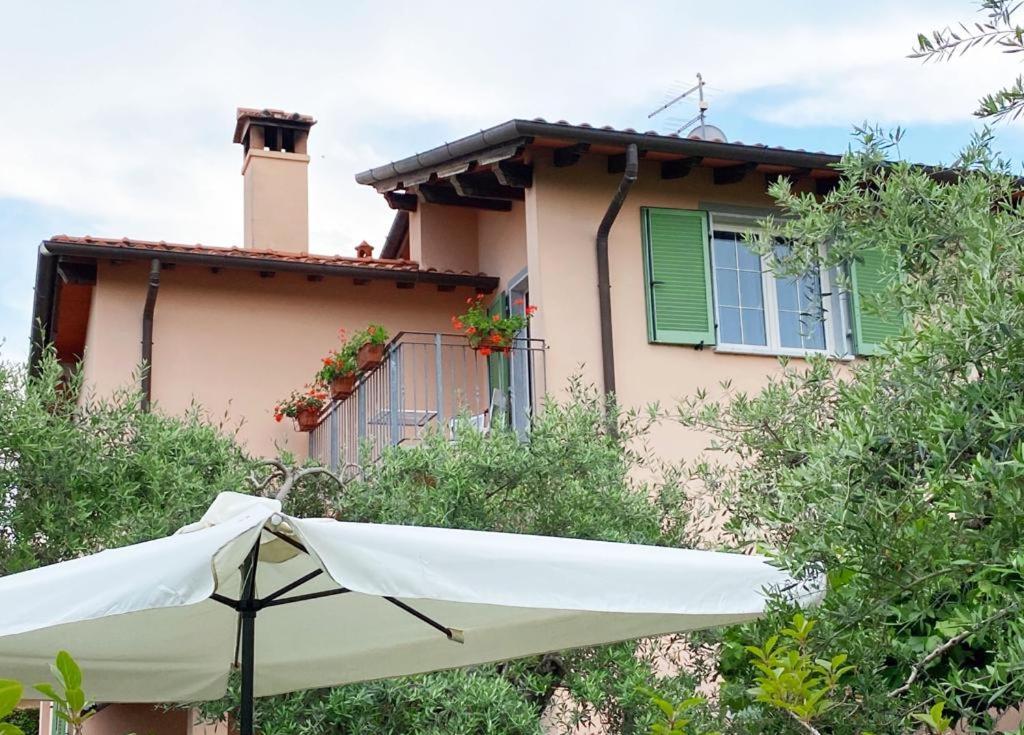 La Madonnina Bed and Breakfast Querceta Εξωτερικό φωτογραφία