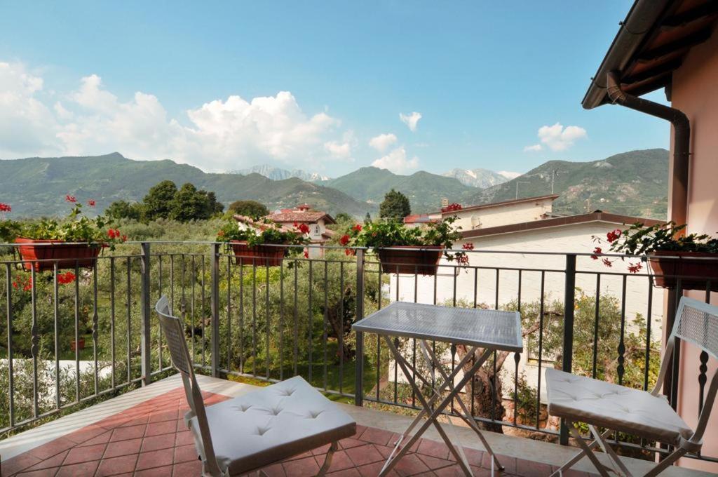 La Madonnina Bed and Breakfast Querceta Εξωτερικό φωτογραφία