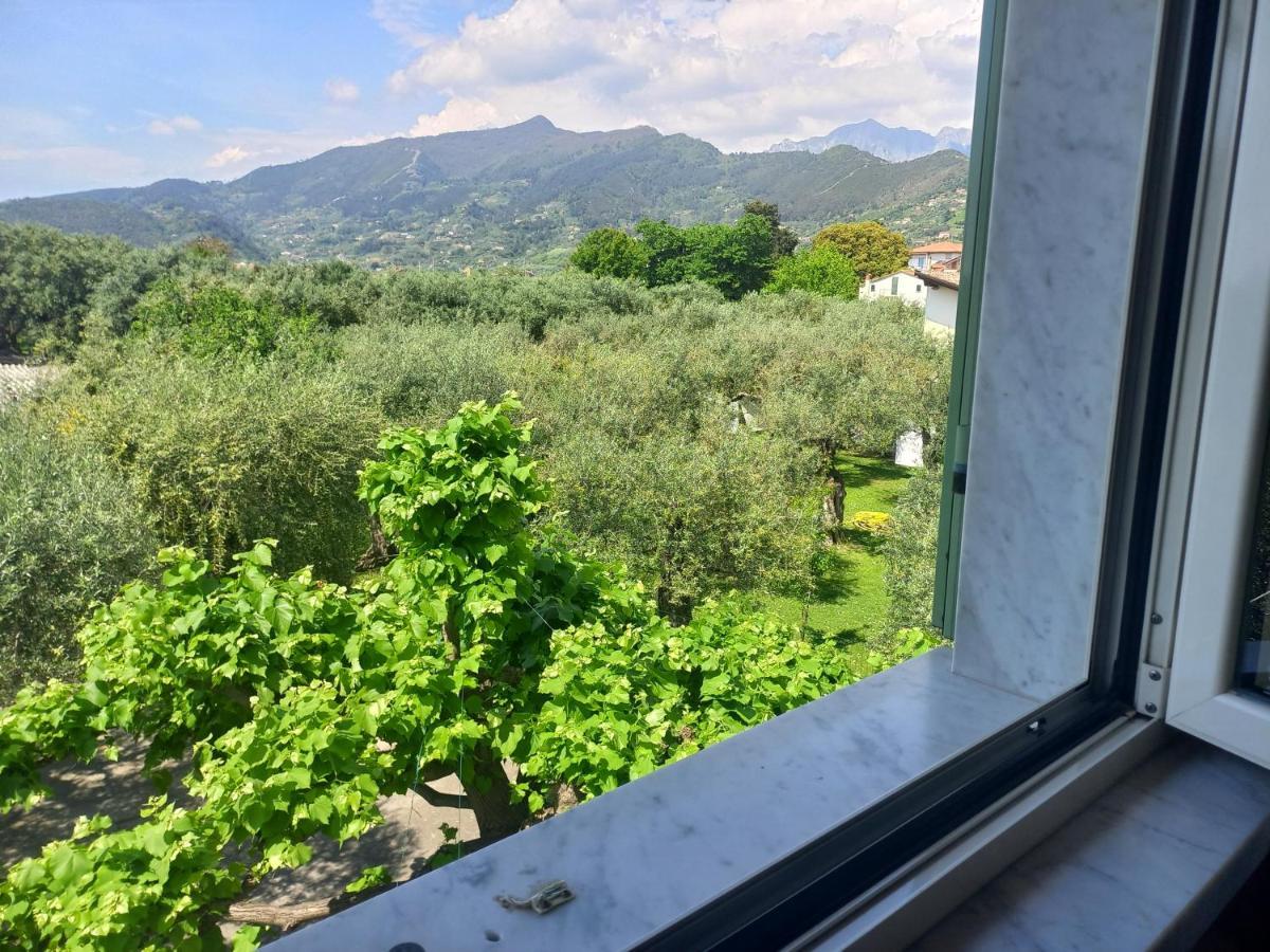 La Madonnina Bed and Breakfast Querceta Εξωτερικό φωτογραφία
