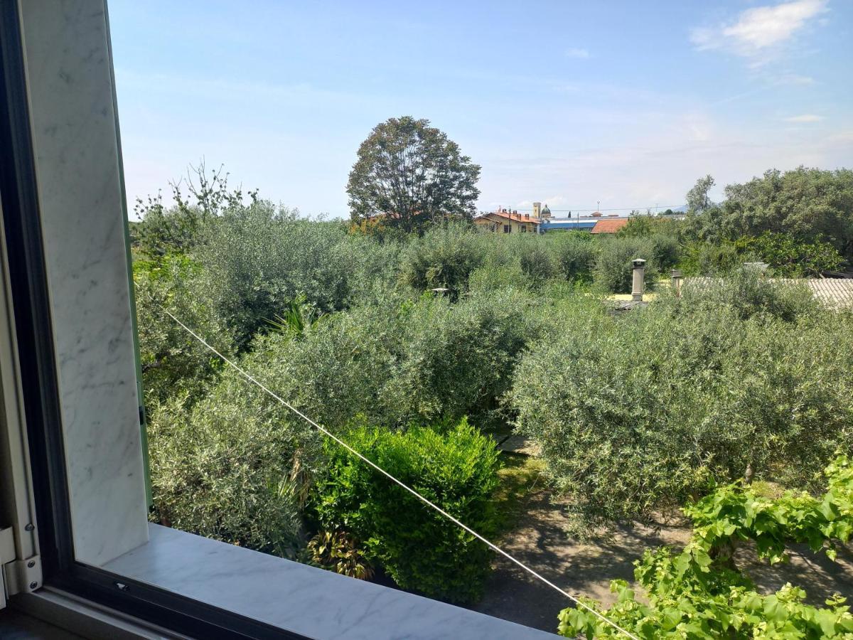 La Madonnina Bed and Breakfast Querceta Εξωτερικό φωτογραφία